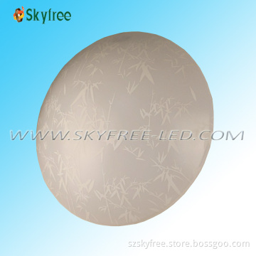 15W LED Ceiling (SF-CSP15N02)